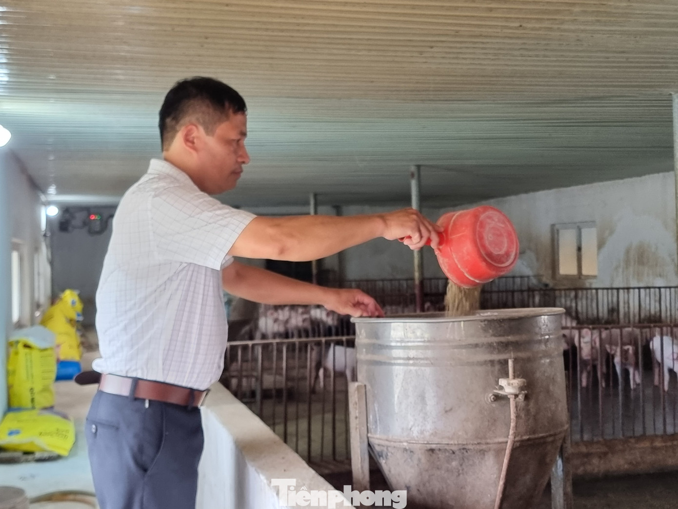 Ông Lê Minh Hiền chia sẻ, giá lợn hơi thời gian gần đây biến động khá mạnh khiến người nuôi mất ăn, mất ngủ Ông Lê Minh Hiền chia sẻ, giá lợn hơi thời gian gần đây biến động khá mạnh khiến người nuôi mất ăn, mất ngủ