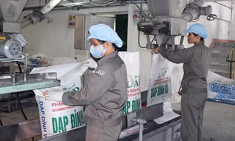 Gía phân bón giảm mạnh cùng với loạt chi phí tăng vọt đã khiến DAP - Vinachem lỗ quý thứ 3 liên tiếp.