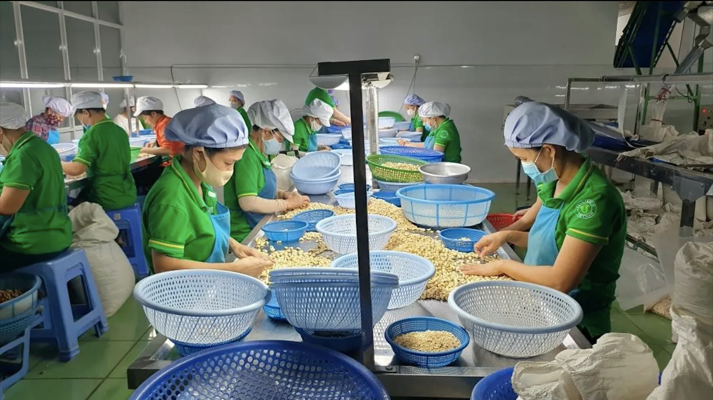 Sau 3 tháng mất ăn, mất ngủ, các doanh nghiệp điều đã nhận được tiền từ ngân hàng Ajman Bank.