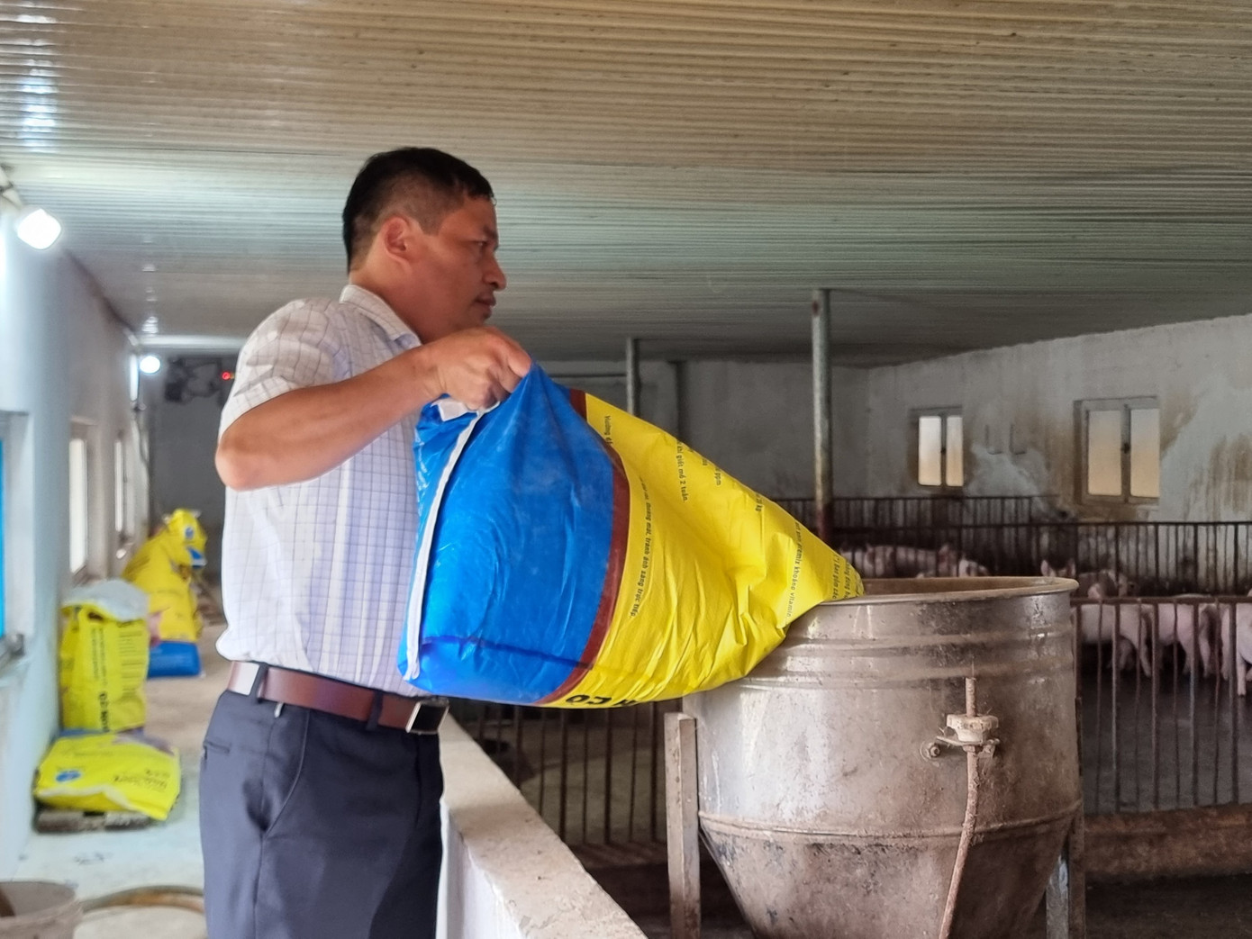 Ông Lê Minh Hiền cho biết, chưa dám sử dụng vắc xin dịch tả lợn châu Phi vì lo hiệu quả chưa cao.