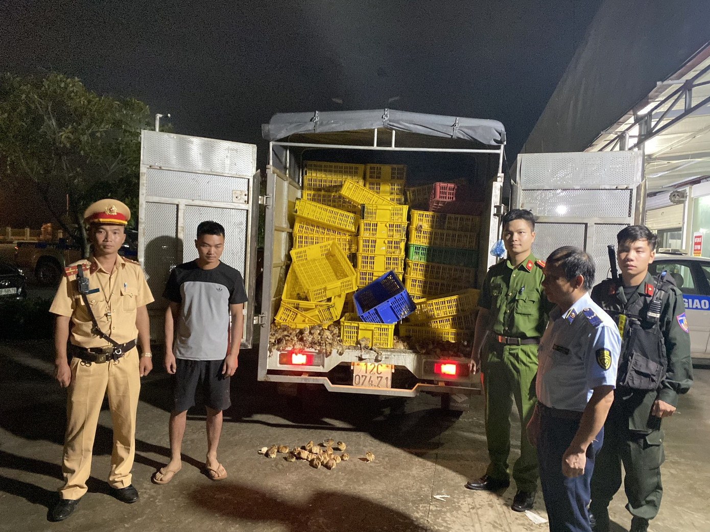 Gần 20.000 gà con giống nhập lậu vừa bị cơ quan chức năng tỉnh Lạng Sơn phát hiện, bắt giữ.