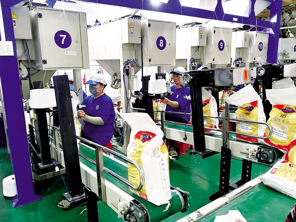 Các doanh nghiệp cho rằng, sự ra đời của Hiệp hội ngành hàng lúa gạo Việt Nam sẽ giúp doanh nghiệp có tiếng nói công bằng, minh bạch hơn. Các doanh nghiệp cho rằng, sự ra đời của Hiệp hội ngành hàng lúa gạo Việt Nam sẽ giúp doanh nghiệp có tiếng nói công bằng, minh bạch hơn.