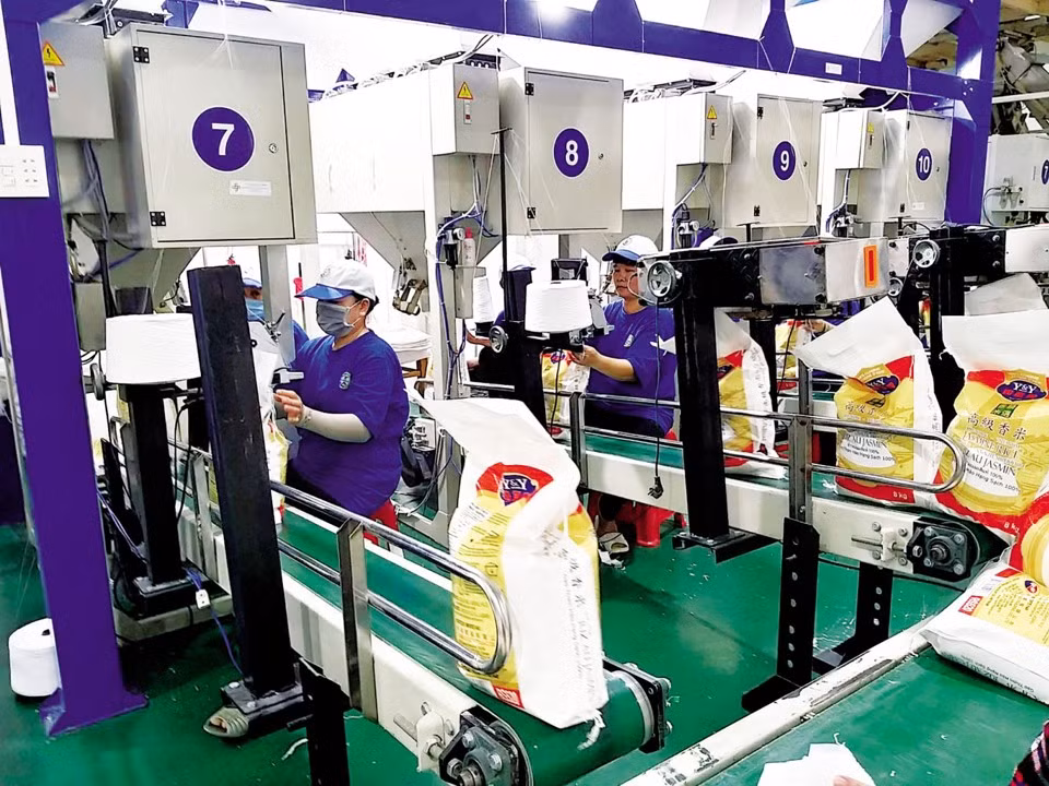 Các doanh nghiệp cho rằng, sự ra đời của Hiệp hội ngành hàng lúa gạo Việt Nam sẽ giúp doanh nghiệp có tiếng nói công bằng, minh bạch hơn.