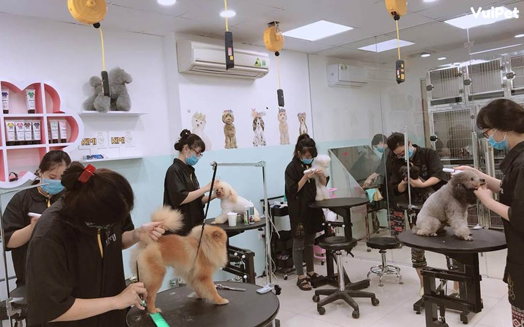 Một số công dân vừa đề nghị thành lập Hiệp hội cắt tỉa tạo mẫu lông thú cưng Việt Nam. Một số công dân vừa đề nghị thành lập Hiệp hội cắt tỉa tạo mẫu lông thú cưng Việt Nam.