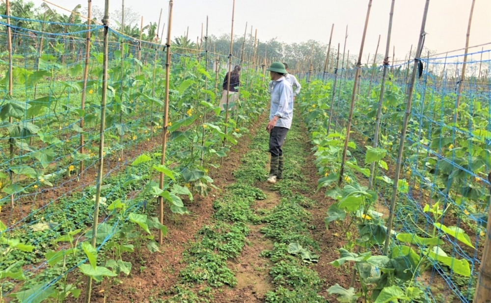 Nhiều xã tại huyện Đan Phượng tổ chức đấu giá quyền sử dụng đất cho thuê đất nông nghiệp với giá khởi điểm 810 đồng/m2/năm. Nhiều xã tại huyện Đan Phượng tổ chức đấu giá quyền sử dụng đất cho thuê đất nông nghiệp với giá khởi điểm 810 đồng/m2/năm.