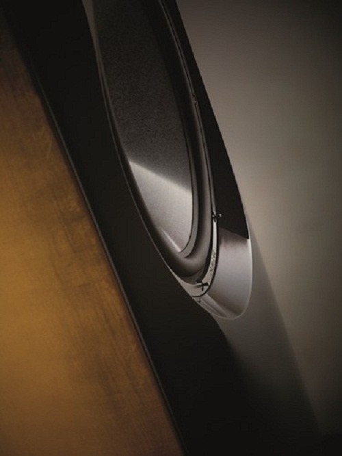 Cận cảnh bộ loa dát vàng hơn 8 tỷ vừa về Việt Nam ảnh 2