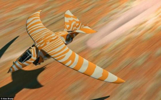 Một siêu máy bay khác có thiết kế kỳ quái của Brady.