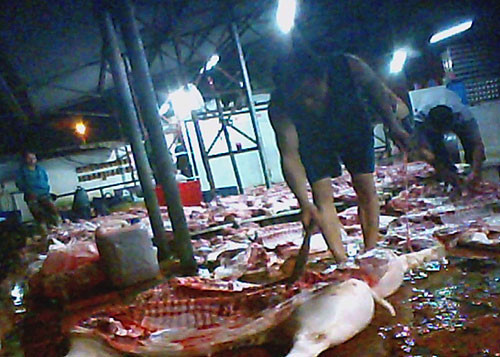 Thịt heo nạc tận da, đỏ tươi rất bắt mắt được để trên nền xi măng. Thịt heo nạc tận da, đỏ tươi rất bắt mắt được để trên nền xi măng