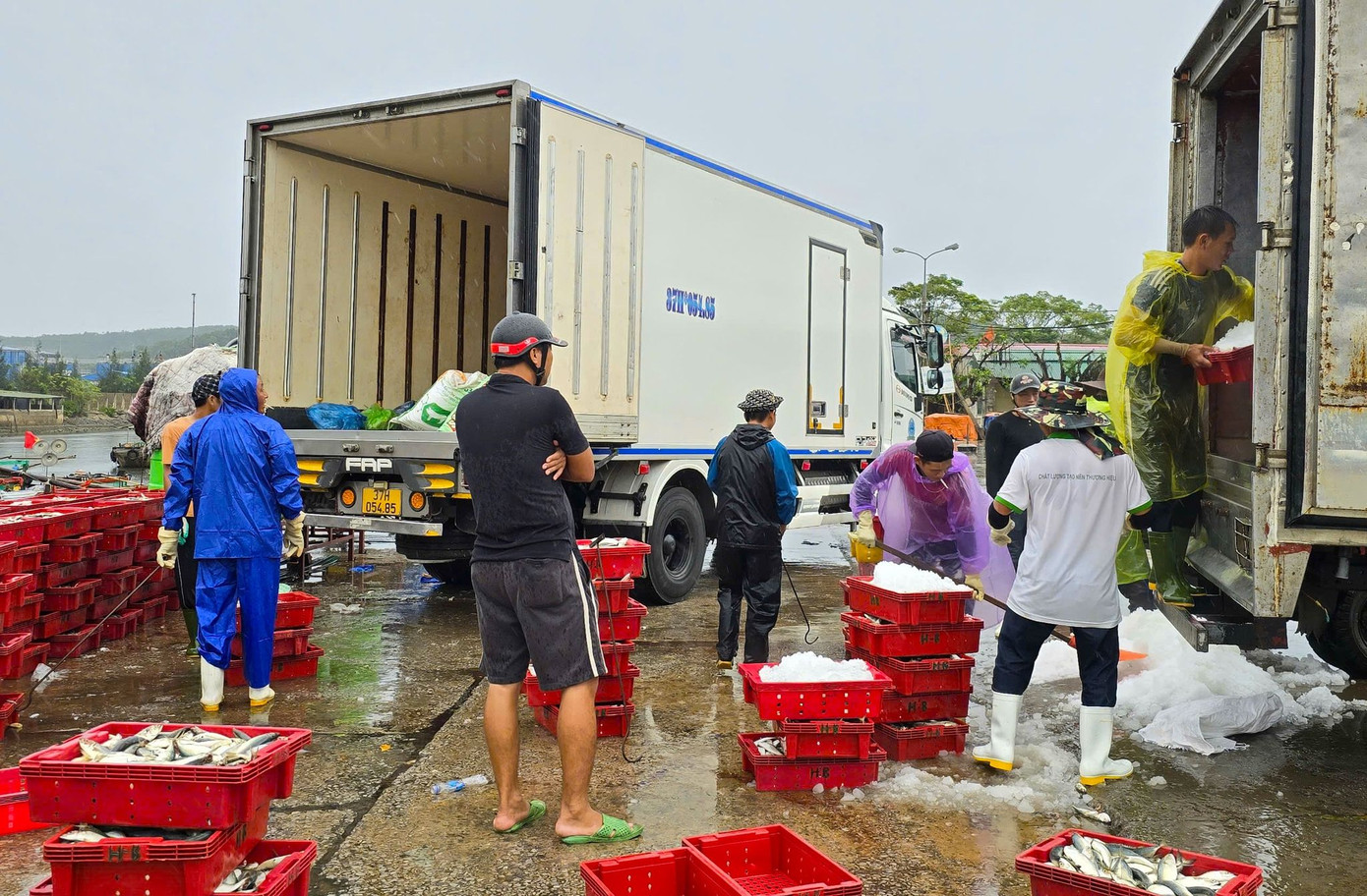 Những mẻ hải sản cuối cũng được ngư dân kịp thời đưa vào bến cá Nghi Thủy bán cho các tiểu thương trước khi neo đậu tàu thuyền để phòng chống bão. Những mẻ hải sản cuối cũng được ngư dân kịp thời đưa vào bến cá Nghi Thủy bán cho các tiểu thương trước khi neo đậu tàu thuyền để phòng chống bão.