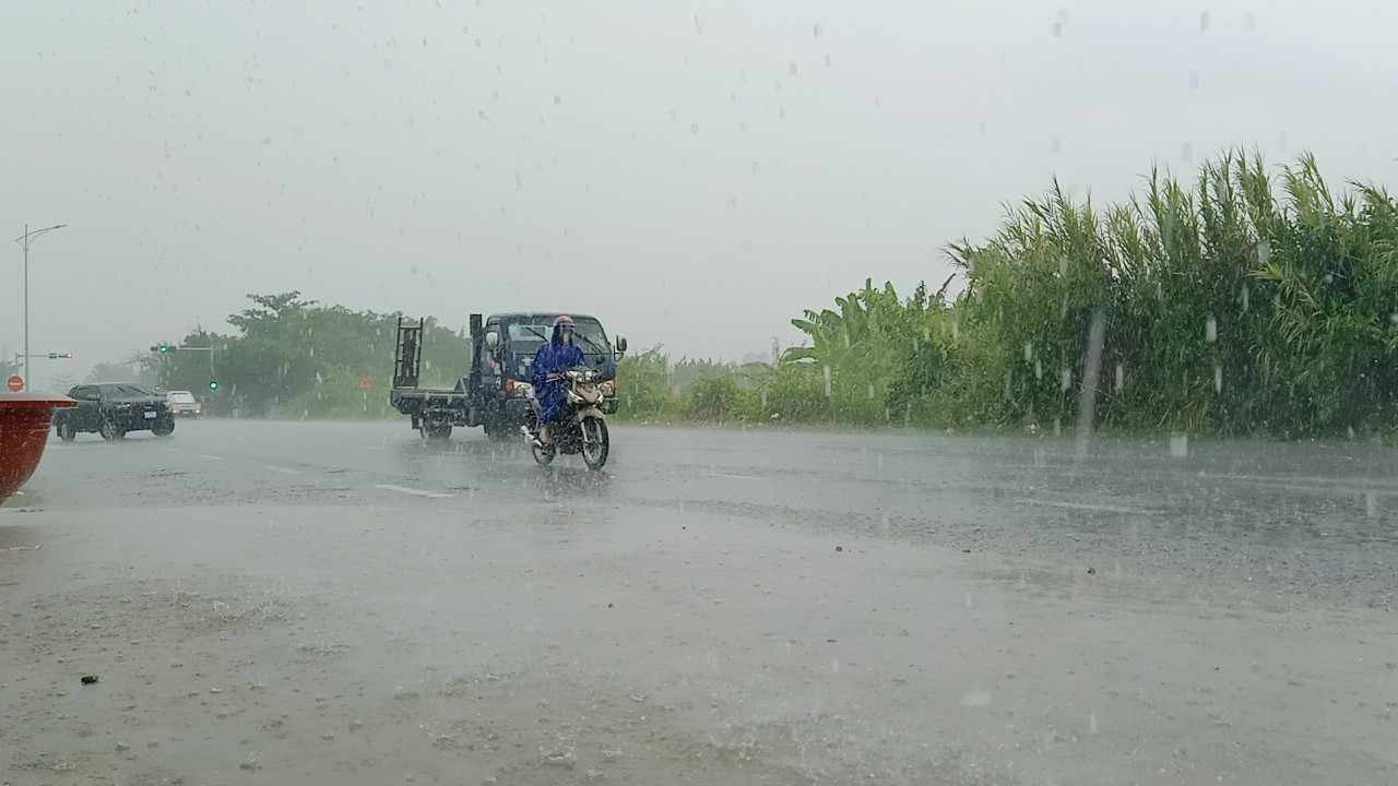 Cơn mưa giải nhiệt sau bao ngày nắng nóng.