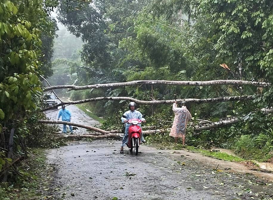 Cây cối ngã đổ trên tuyến quốc lộ 14G thuộc địa phận thôn Bhơ Hôồng 2 (xã Sông Kôn, huyện Đông Giang). Ảnh: Báo Quảng Nam Cây cối ngã đổ trên tuyến quốc lộ 14G thuộc địa phận thôn Bhơ Hôồng 2 (xã Sông Kôn, huyện Đông Giang). Ảnh: Báo Quảng Nam