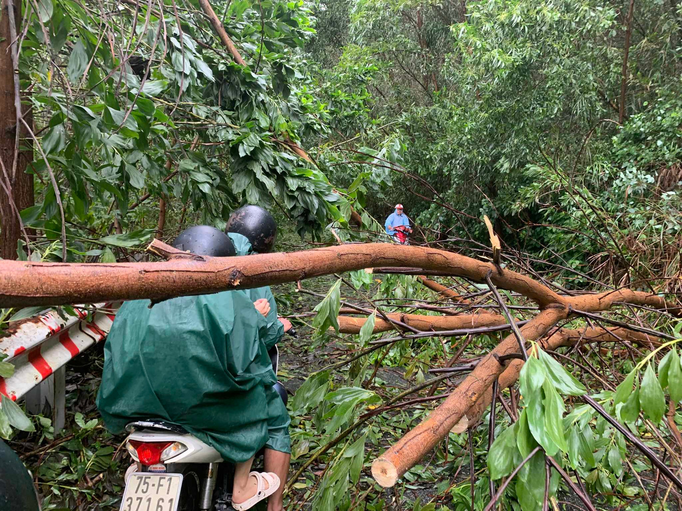 Trên tuyến đường giao thông huyết mạch nối từ quốc lộ 1A (đoạn qua quận Liên Chiểu, thành phố Đà Nẵng) lên xã Hòa Liên và xã Hòa Bắc, cây cối đỗ la liệt, đất đá tràn xuống đường gây ảnh hưởng lớn đến việc đi lại của người dân. Trên tuyến đường giao thông huyết mạch nối từ quốc lộ 1A (đoạn qua quận Liên Chiểu, thành phố Đà Nẵng) lên xã Hòa Liên và xã Hòa Bắc, cây cối đỗ la liệt, đất đá tràn xuống đường gây ảnh hưởng lớn đến việc đi lại của người dân.