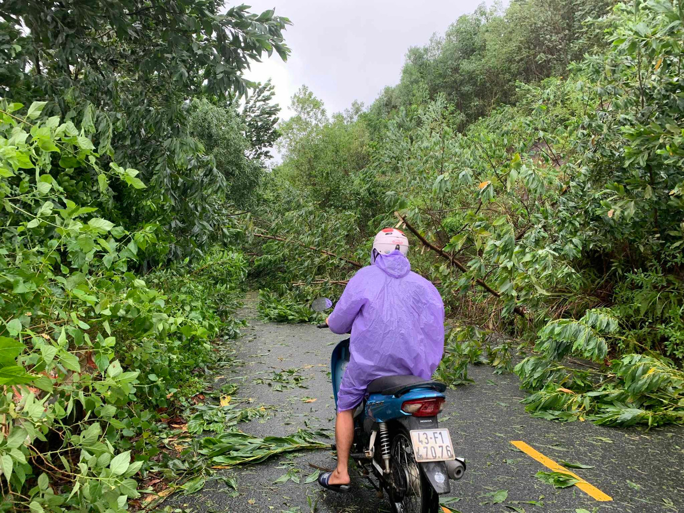 Trên tuyến đường Ngô Xuân Thu nối dài, cây cối ngã đổ la liệt. Ảnh: Duy Quốc Trên tuyến đường Ngô Xuân Thu nối dài, cây cối ngã đổ la liệt. Ảnh: Duy Quốc
