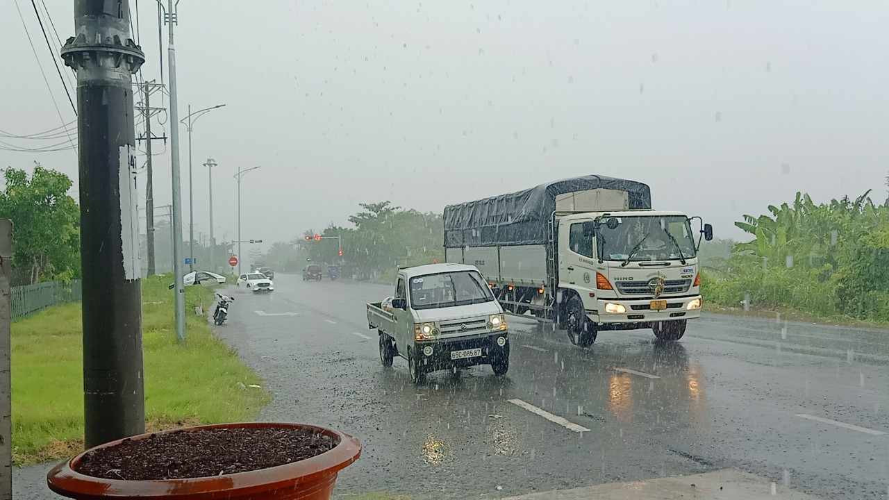Cần Thơ đón cơn mưa "vàng" bất ngờ