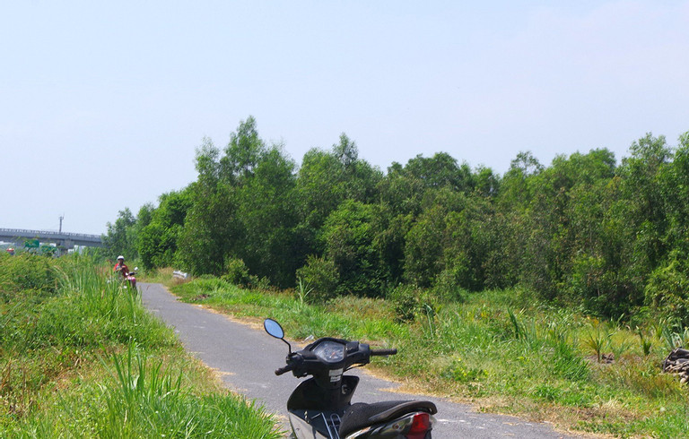 Khu vực rừng người dân phát hiện bộ xương người. Ảnh: E.X Khu vực rừng người dân phát hiện bộ xương người. Ảnh: E.X