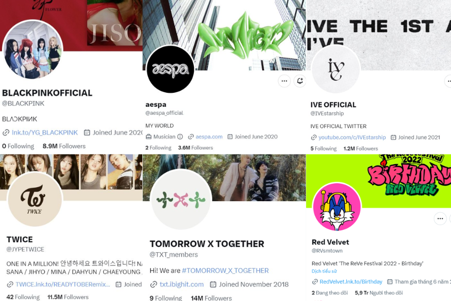 Các tài khoản của nhiều nghệ sĩ đình đám như BLACKPINK, TWICE, IVE, TXT, aespa, Red Velvet,... mặc dù mất đi tích xanh nhưng vẫn giữ nguyên hàng triệu lượt theo dõi, khiến netizen đùa rằng "Nhìn rất tài khoản của fan nhưng lại là tài khoản chính chủ".