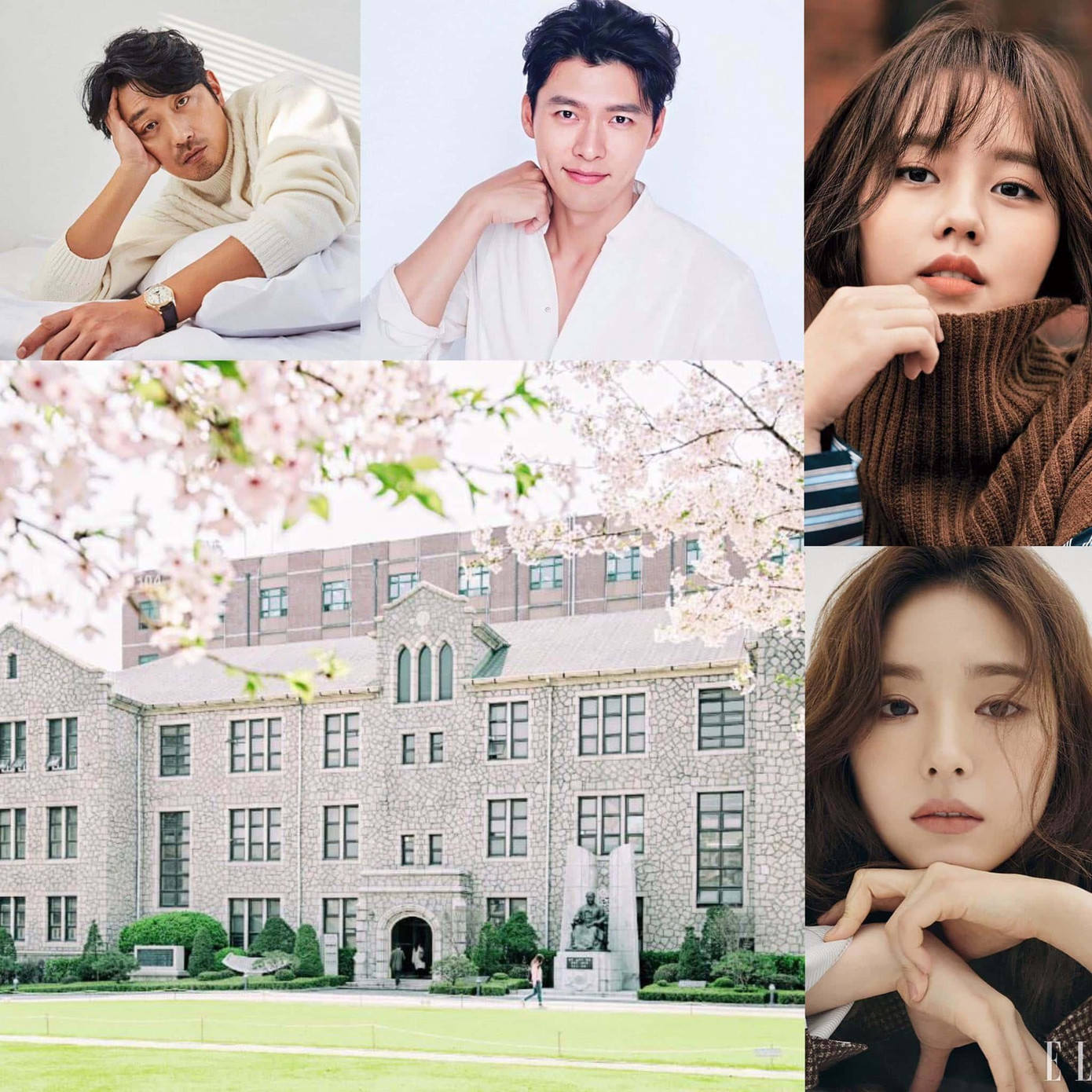 Theo học Đại học Chung Ang đồng nghĩa với việc Da Reum sẽ là hậu bối của nhiều ngôi sao như: Ha Jung Woo, Hyun Bin, Kim So Hyun, Shin Se Kyung,...