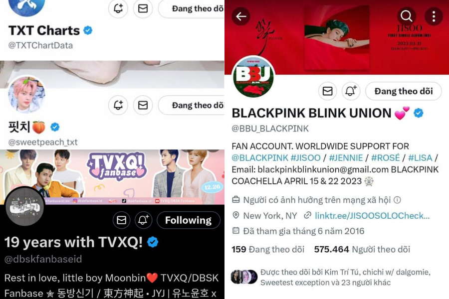 Trong khi nhiều thần tượng bị xóa tích xanh, loạt tài khoản của người hâm mộ của những idol ấy lại có tích xanh "siêu uy tín".