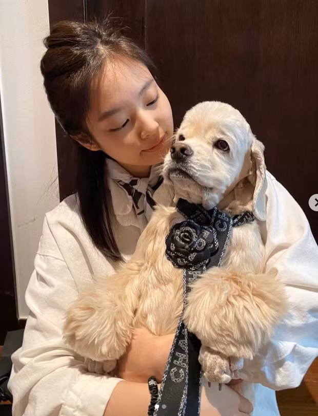 Việc không ra mắt bất kỳ sản phẩm âm nhạc nào sau concert chính là cơ hội để Jennie có thể "xả hơi" sao những tháng ngày bận rộn.