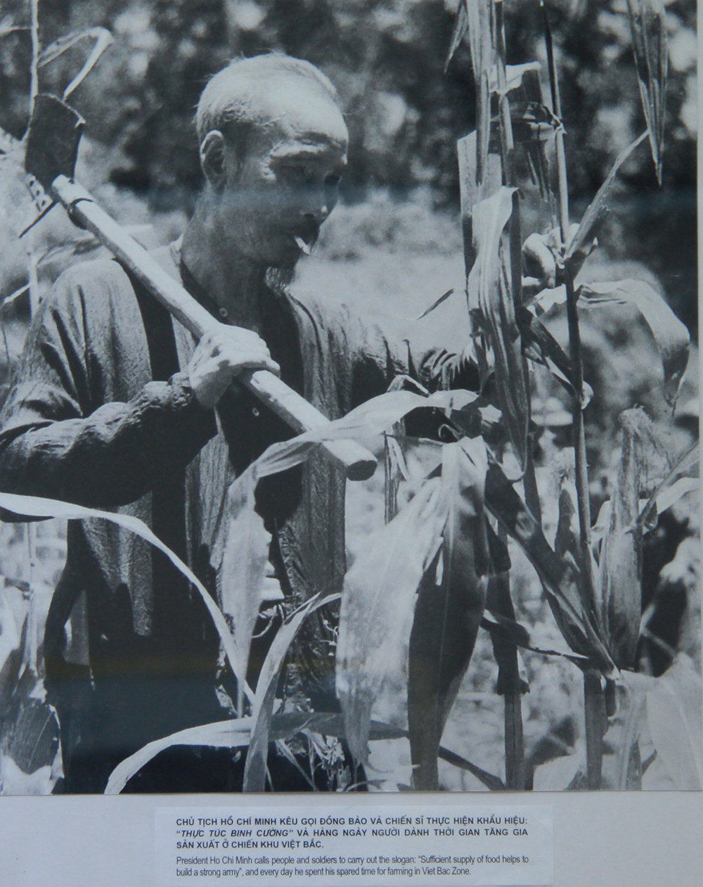 Chủ tịch Hồ Chí Minh kêu gọi đồng bào và chiến sỹ thực hiện khẩu hiệu 