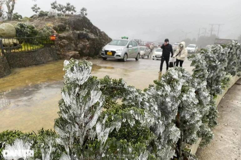 Băng giá xuất hiện tại đỉnh đèo Ô Quý Hồ (Sa Pa, Lào Cai) vào sáng sớm ngày 21/2. (Ảnh: Phạm Ngọc Triển).