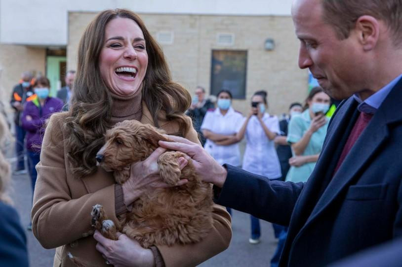 Công nương Kate cười sảng khoái khi bế chú chó con Alfie khi cùng chồng, Hoàng tử William, đến thăm một bệnh viện ở Anh.