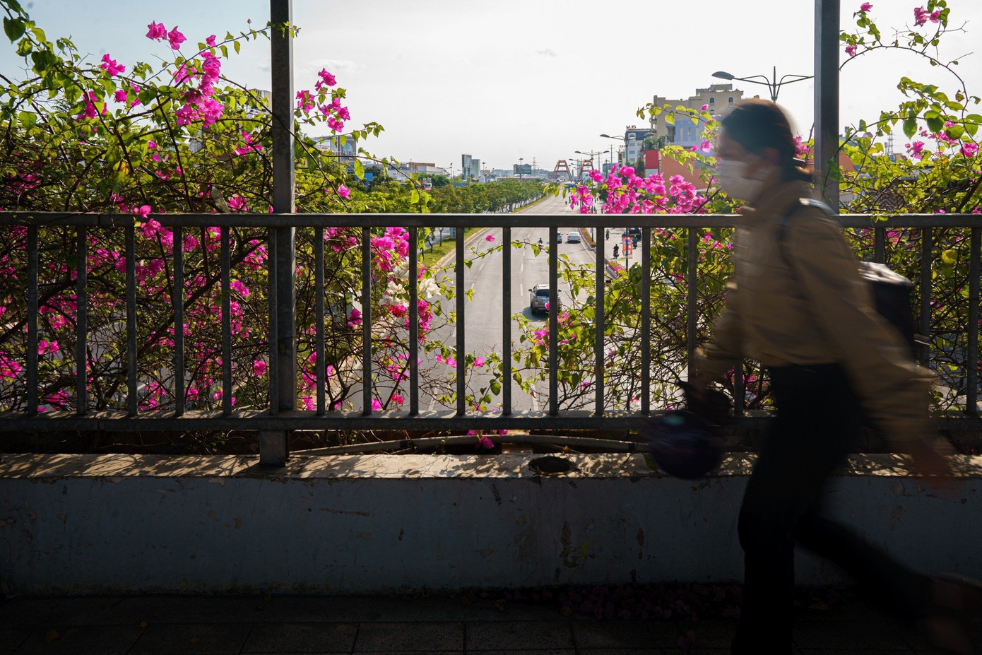 Là đại lộ nội đô đẹp nhất TP.HCM, đại lộ Phạm Văn Đồng có tới 5 cầu vượt bộ hành, tuy nhiên hầu hết rơi vào tình trạng "ế" khách. Là đại lộ nội đô đẹp nhất TP.HCM, đại lộ Phạm Văn Đồng có tới 5 cầu vượt bộ hành, tuy nhiên hầu hết rơi vào tình trạng "ế" khách.