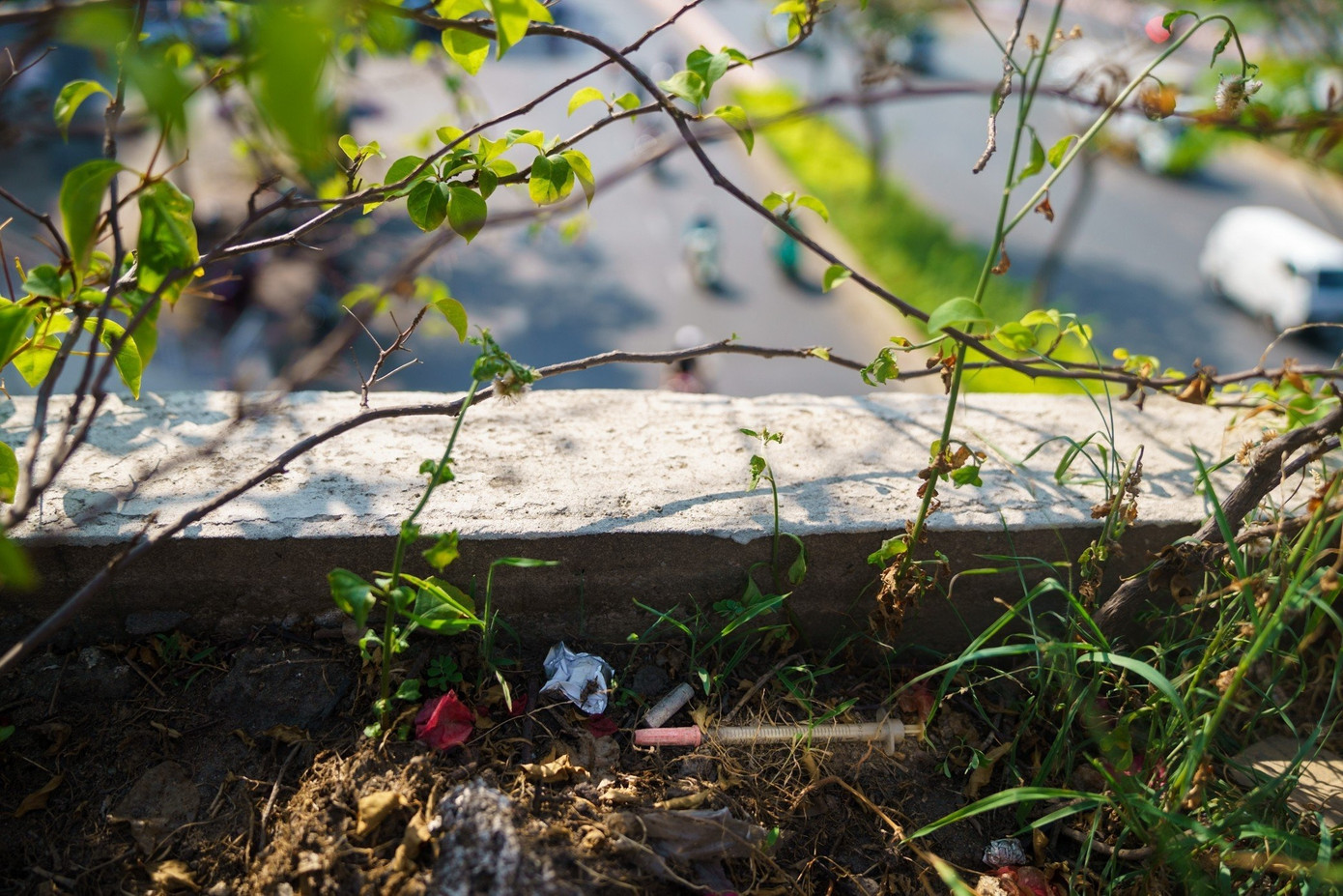 Trên cây cầu này xuất hiện nhiều bơm kim tiêm đã qua sử dụng vứt bừa bãi tại các chậu hoa. Trên cây cầu này xuất hiện nhiều bơm kim tiêm đã qua sử dụng vứt bừa bãi tại các chậu hoa.
