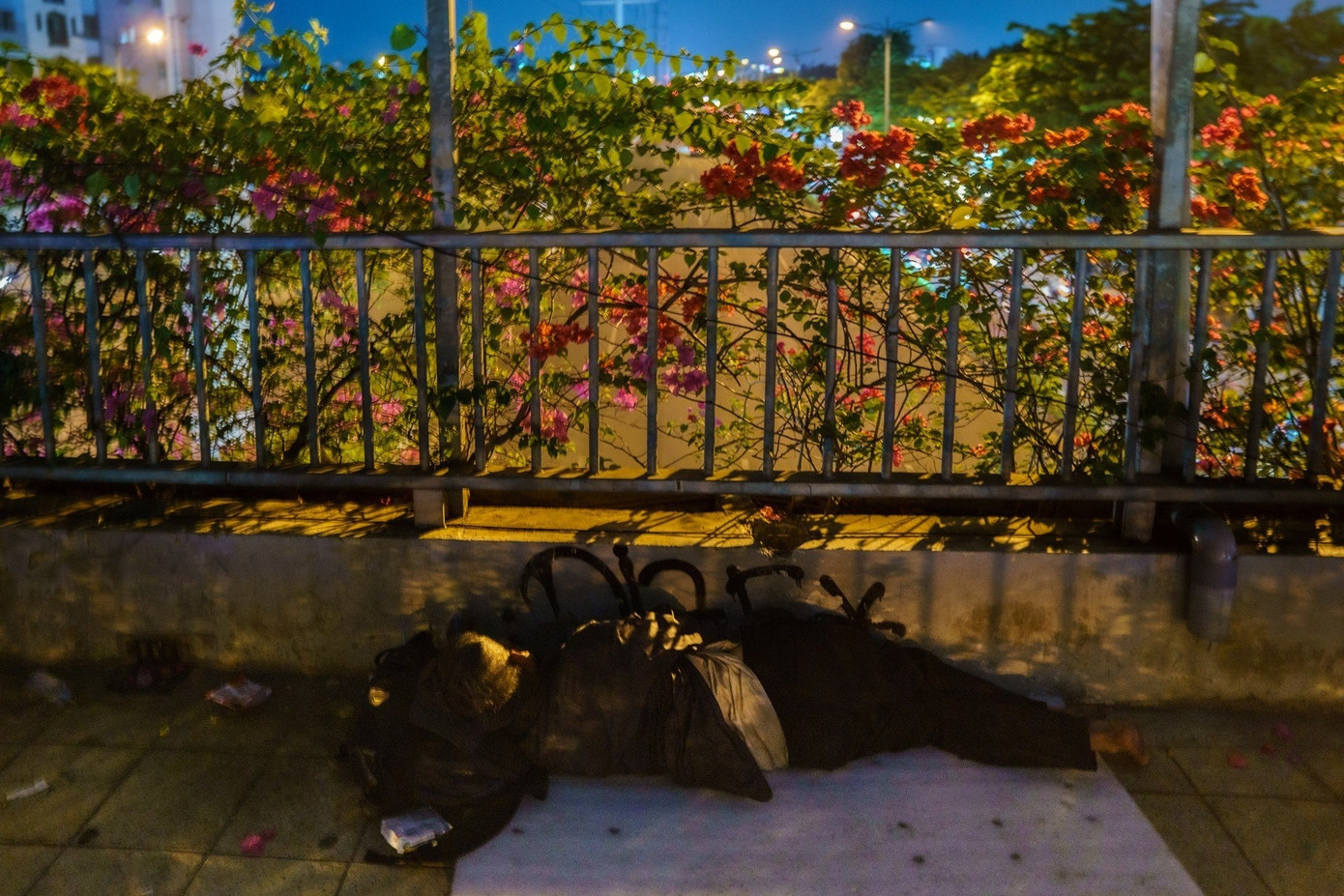 Người vô gia cư trải chiếu nằm ngủ trên một góc cầu vượt bộ hành số 3 ở đại lộ Phạm Văn Đồng (quận Bình Thạnh). Người vô gia cư trải chiếu nằm ngủ trên một góc cầu vượt bộ hành số 3 ở đại lộ Phạm Văn Đồng (quận Bình Thạnh).