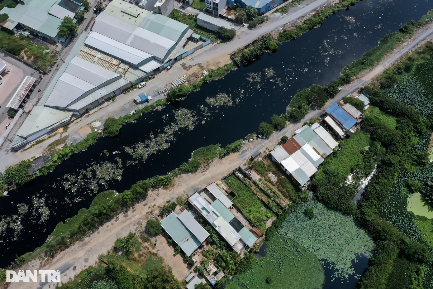 Bà Đào Bích Liên (59 tuổi), sống dọc bờ kênh Tham Lương (đoạn qua địa bàn huyện Bình Chánh) cho biết, rác động ở các miệng cống, nước thoát không kịp nên cứ có mưa là sẽ ngập. Nghe tin dự án cải tạo kênh Tham Lương khởi công giai đoạn 2, cả nhà bà Liên mừng đến mất ngủ. Bà tâm sự: "Chúng tôi mong sớm thoát khỏi nỗi ám ảnh cứ mưa là ngập, rác tràn vào nhà, nắng thì bụi bặm, nước từ kênh bốc mùi hôi nồng nặc". Bà Đào Bích Liên (59 tuổi), sống dọc bờ kênh Tham Lương (đoạn qua địa bàn huyện Bình Chánh) cho biết, rác động ở các miệng cống, nước thoát không kịp nên cứ có mưa là sẽ ngập. Nghe tin dự án cải tạo kênh Tham Lương khởi công giai đoạn 2, cả nhà bà Liên mừng đến mất ngủ. Bà tâm sự: "Chúng tôi mong sớm thoát khỏi nỗi ám ảnh cứ mưa là ngập, rác tràn vào nhà, nắng thì bụi bặm, nước từ kênh bốc mùi hôi nồng nặc".