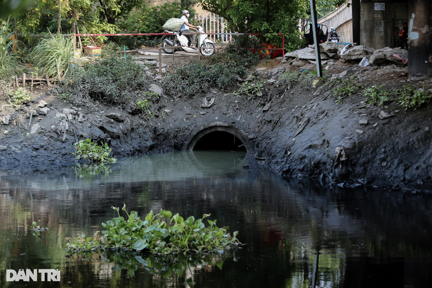 Theo dòng chảy kênh Tham Lương từ sông Sài Gòn qua các quận, huyện đến sông Chợ Đệm, không khó để bắt gặp hình ảnh nước thải sinh hoạt được xả trực tiếp xuống kênh. Ghi nhận của PV Dân Trí, tình trạng này xảy ra nhiều hơn ở quận 12 và Bình Tân. Theo dòng chảy kênh Tham Lương từ sông Sài Gòn qua các quận, huyện đến sông Chợ Đệm, không khó để bắt gặp hình ảnh nước thải sinh hoạt được xả trực tiếp xuống kênh. Ghi nhận của PV Dân Trí, tình trạng này xảy ra nhiều hơn ở quận 12 và Bình Tân.