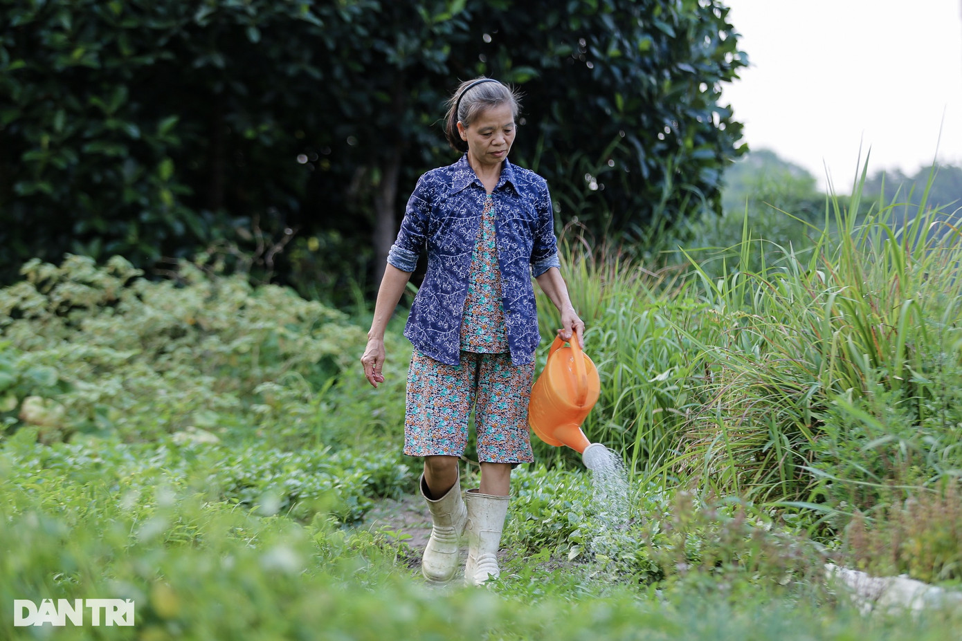 Bà Vũ Thị Suy (54 tuổi, ngụ quận Gò Vấp) kể, vì thấy dọc tuyến kênh toàn rác nên cùng người dân xung quanh chung tay dọn dẹp, biến bãi rác thành vườn rau xanh. Hay tin dòng kênh sắp "thay áo mới", bà Suy vui mừng khôn xiết. Bà Vũ Thị Suy (54 tuổi, ngụ quận Gò Vấp) kể, vì thấy dọc tuyến kênh toàn rác nên cùng người dân xung quanh chung tay dọn dẹp, biến bãi rác thành vườn rau xanh. Hay tin dòng kênh sắp "thay áo mới", bà Suy vui mừng khôn xiết.