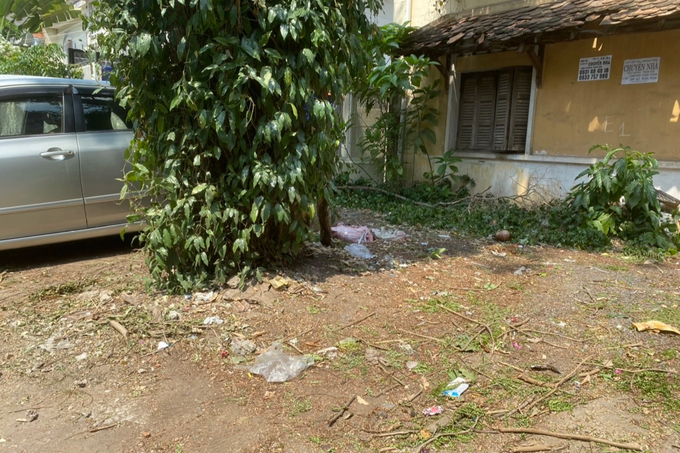 Hình ảnh rác đầy các gốc cây khiến khu vực trở nên nhếch nhác. Ảnh: Nguyễn Vy.
