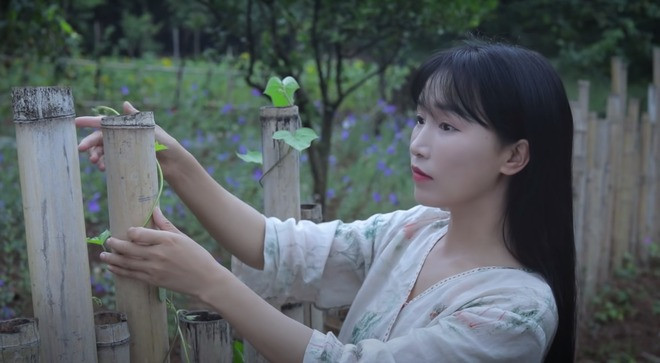 Lý Tử Thất nắm 99% cổ phần của Vô Niệm Hàng Châu.