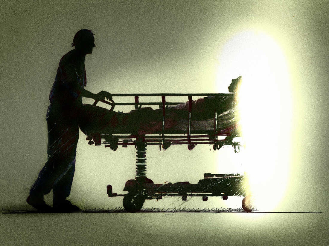 Từ thời cổ đại, con người đã tìm kiếm cách để sống mãi mãi. Nhiều vị Pharaoh của Ai Cập hay vua chúa Trung Quốc bị ám ảnh bởi khái niệm "bất tử" và tìm đến những vị thuốc trường sinh nhằm kéo dài tuổi thọ của mình. Tuy nhiên, tất cả nỗ lực ấy cuối cùng cũng không chống lại được quy luật tự nhiên. Ảnh: Science Photo Libra.