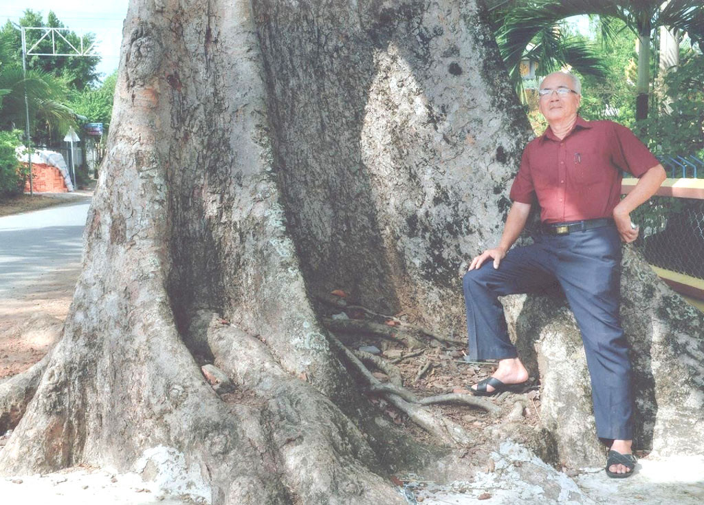 Nhà báo Quang Hảo bên gốc cây trôm mõ cổ thụ- Cây di sản Việt Nam ở phường Khánh Hậu, TP Tân An, tỉnh Long An (Ảnh nhân vật cung cấp).