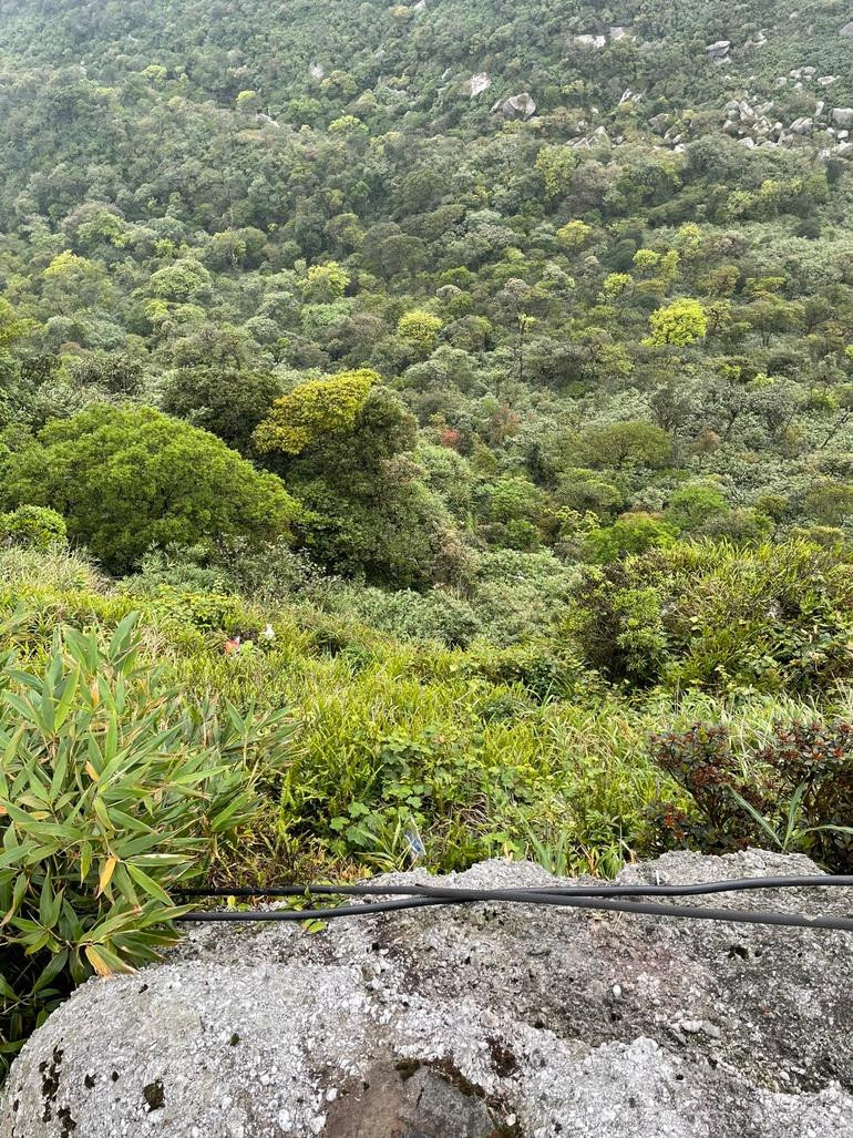 Nếu quan sát trực diện từ vị trí bà Liên bị rơi xuống, có cảm giác khoảng cách rất gần, độ dốc không quá lớn (Ảnh: Ban quản lý Yên Tử cung cấp). Nếu quan sát trực diện từ vị trí bà Liên bị rơi xuống, có cảm giác khoảng cách rất gần, độ dốc không quá lớn (Ảnh: Ban quản lý Yên Tử cung cấp).