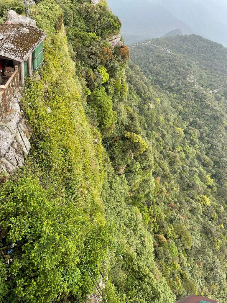 Tuy nhiên, nhìn từ góc khác thì khu vực bà Liên rơi xuống là vực sâu, vách đá dựng đứng nhưng có cây rừng mọc khá dày. Đây cũng là yếu tố mang lại may mắn cho bà Liên bởi lớp cây này đã cản bớt lực rơi (Ảnh: Ban quản lý Yên Tử cung cấp). Tuy nhiên, nhìn từ góc khác thì khu vực bà Liên rơi xuống là vực sâu, vách đá dựng đứng nhưng có cây rừng mọc khá dày. Đây cũng là yếu tố mang lại may mắn cho bà Liên bởi lớp cây này đã cản bớt lực rơi (Ảnh: Ban quản lý Yên Tử cung cấp).