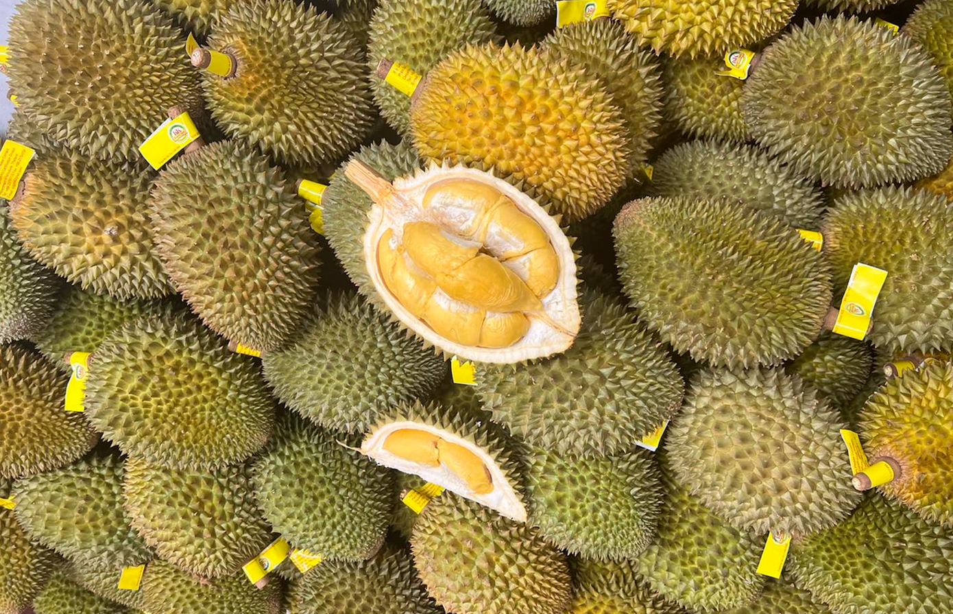 Sầu riêng Thái Lan được rao bán la liệt tại thị trường Việt. Ảnh: Hoa quả Ưu Đàm. Sầu riêng Thái Lan được rao bán la liệt tại thị trường Việt. Ảnh: Hoa quả Ưu Đàm.