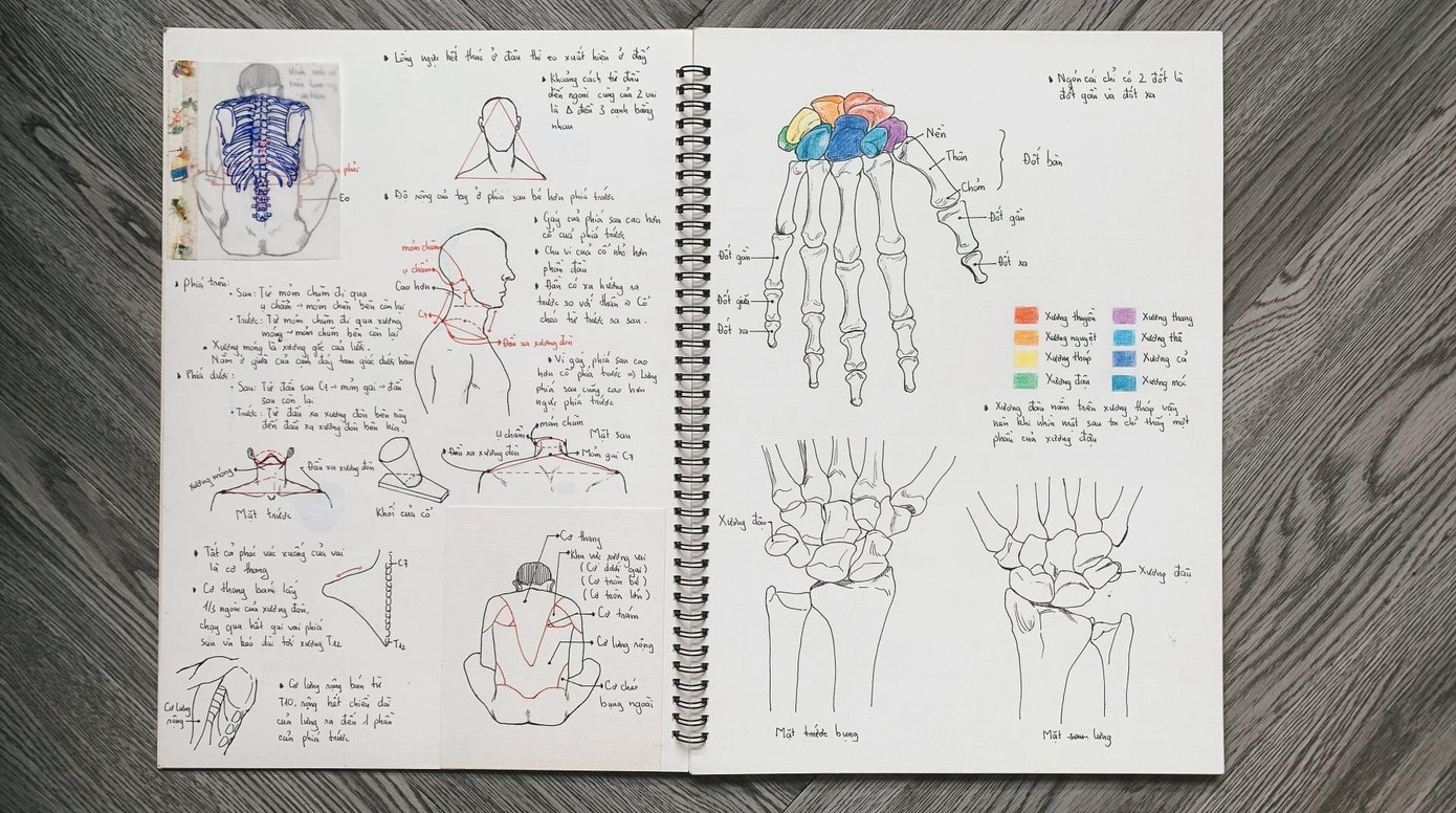 Ngọc Ánh muốn tự mình bổ sung những kiến thức bằng quá trình "tự học".