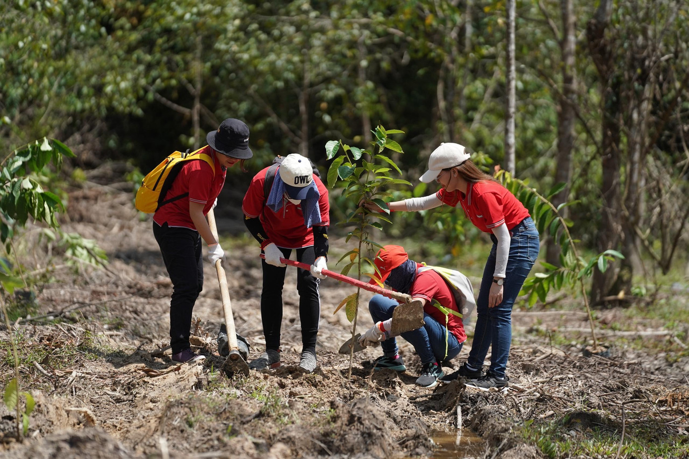 Các tình nguyện viên của chương trình cùng trồng 3.000 cây xanh. (Ảnh: Phạm Nguyễn)