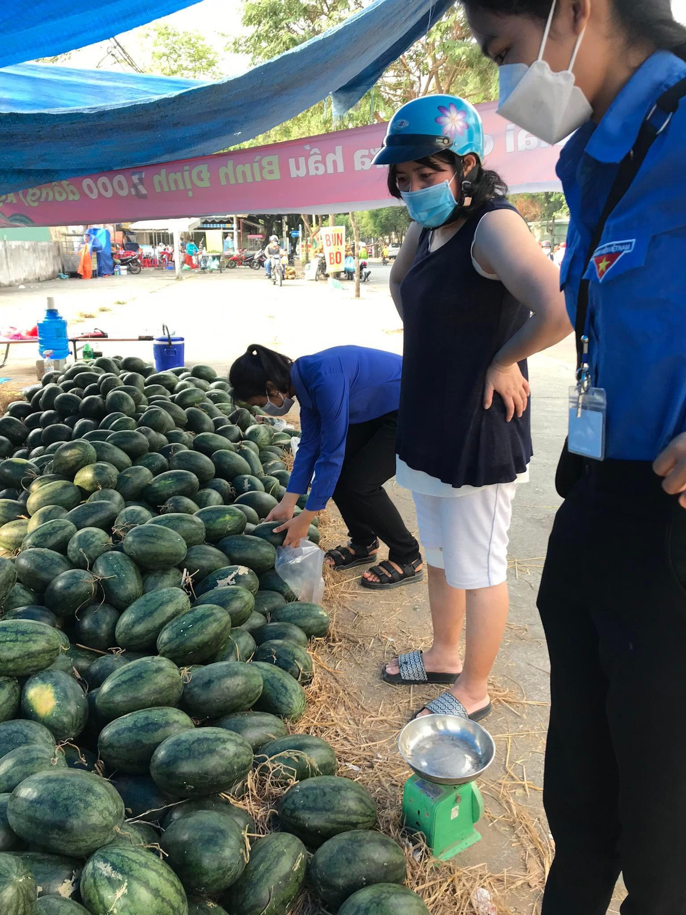 Các bạn sinh viên hỗ trợ nông dân Bình Định bán dưa.