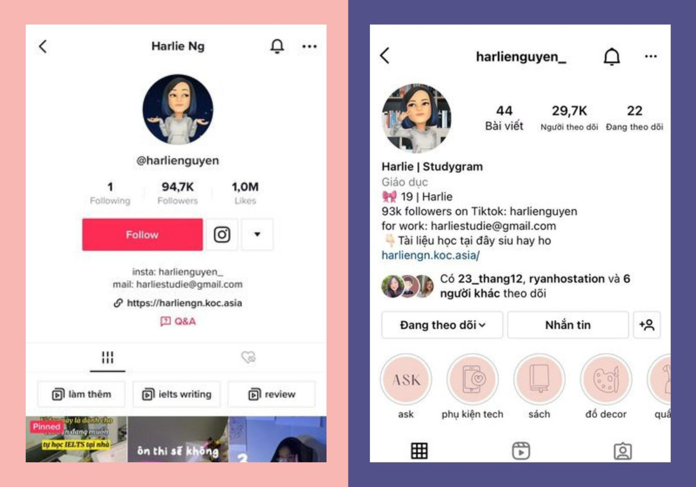 Các nền tảng mạng xã hội với tổng lượng theo dõi lên đến hơn 100.000 người của Harlie.