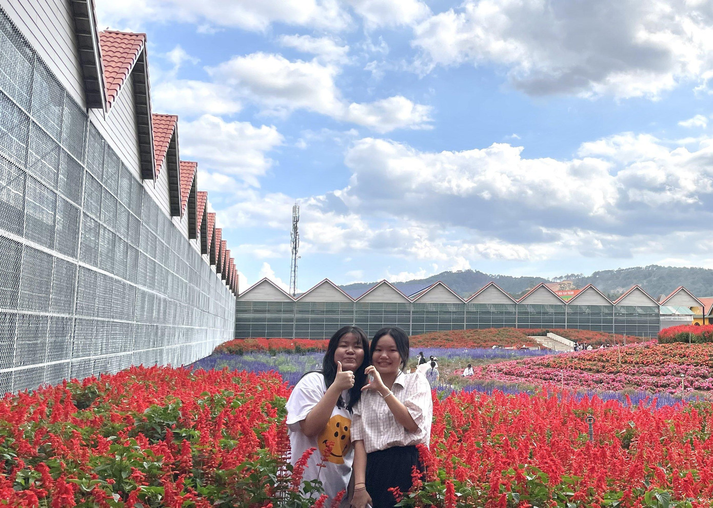 Hai bạn Hoàng Anh (trái) và Liên Hà (phải) - chủ nhân của trang Instagram Tia.room. Hai bạn Hoàng Anh (trái) và Liên Hà (phải) - chủ nhân của trang Instagram Tia.room.