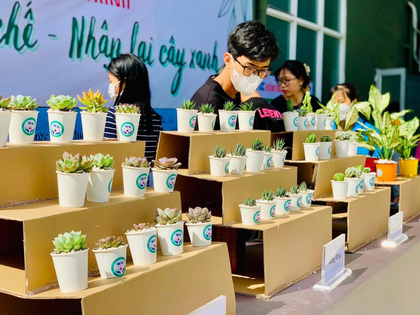 Nhiều chậu cây xanh được Ban Tổ chức chuẩn bị để sinh viên có thể 'đổi rác'.