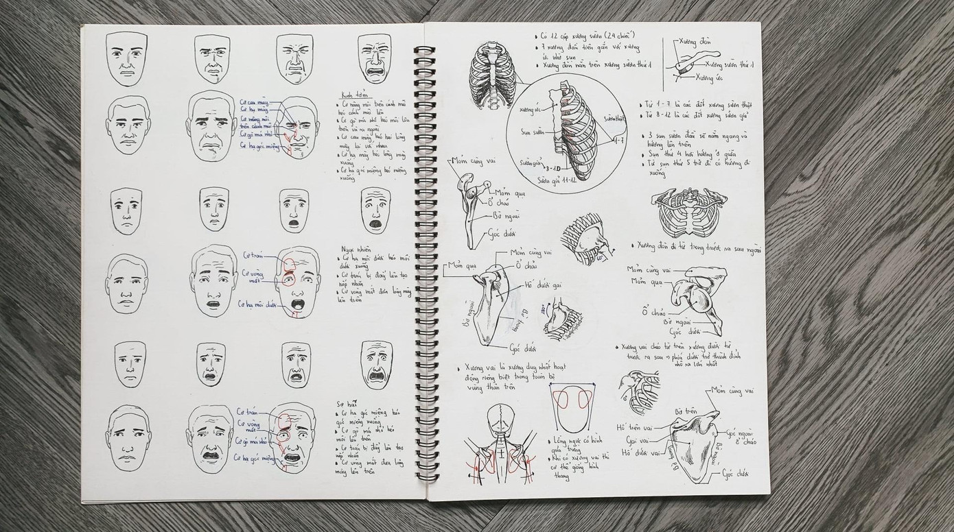 Những trang sổ tay thu hút nhiều lượt tương tác trên mạng xã hội khi Ngọc Ánh đăng tải.