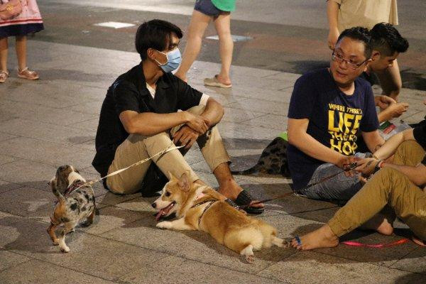 Các bạn trẻ vừa trò chuyện, vừa trao đổi kinh nghiệm chăm sóc thú cưng.