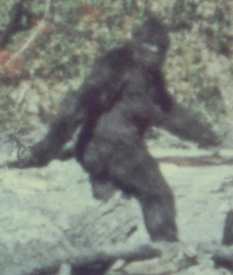 Quái vật Bigfoot