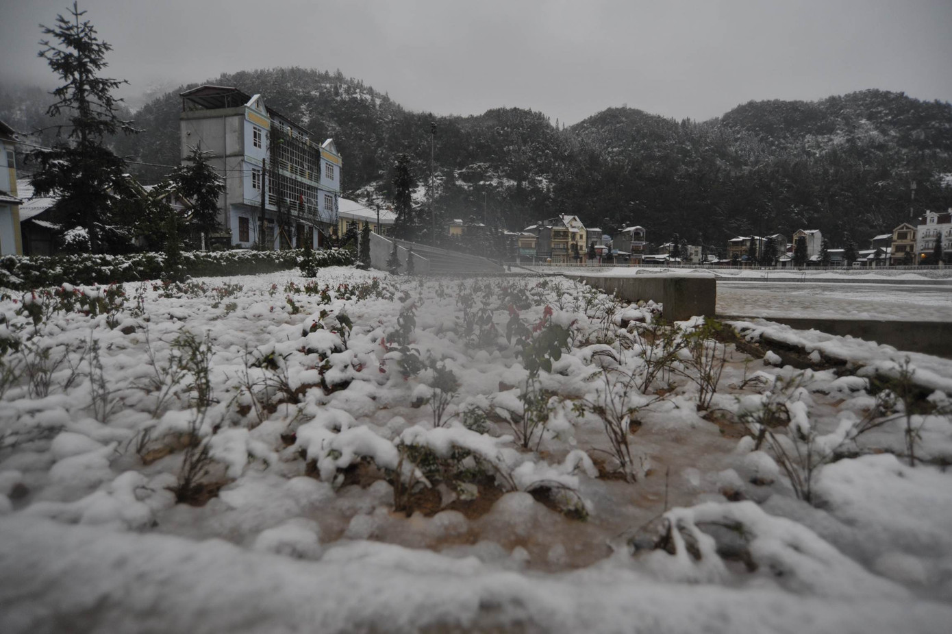 Sân vận động Sapa