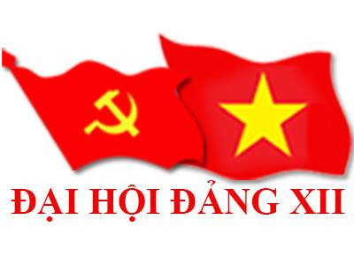 Infographic 200 ủy viên BCH Trung ương Đảng khóa XII ảnh 193